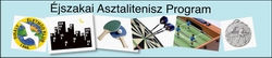 Éjszakai Asztalitenisz Program